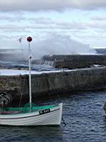 15 Det ser koldt ud - og er det ogsaa.jpg